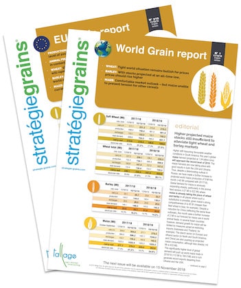 SG Grains Reports